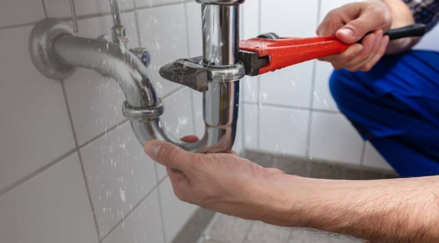 Professional Leak Detection services in Hamburg, MN
